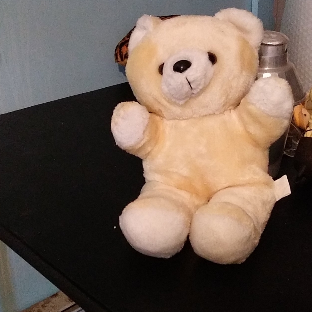 Teddy bear